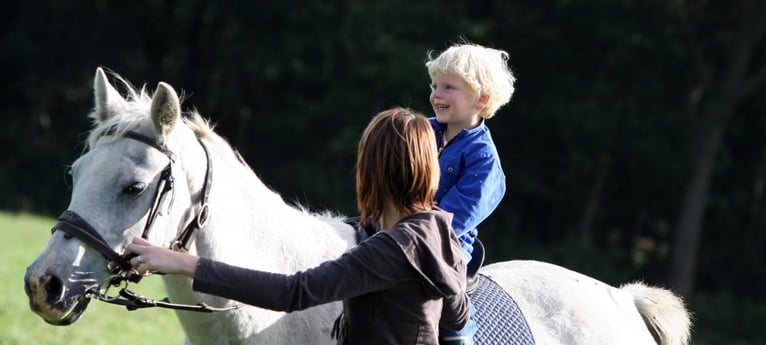 Learn how to ride!